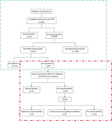 Identification of rare thalassemia variants using third-generation sequencing